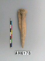 藏品(骨尖器)的圖片